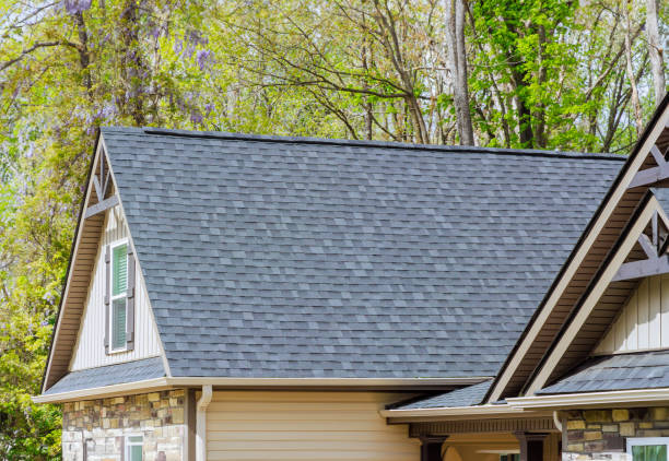 Best Roof Moss and Algae Removal  in Port Ewen, NY